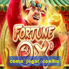 como jogar coelho da fortuna